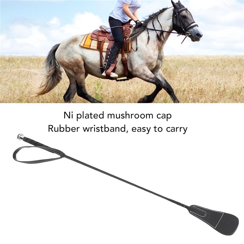 Reitpeitsche, Dressurpeitsche, – Riding Crop Dressage Bewertung und Preis