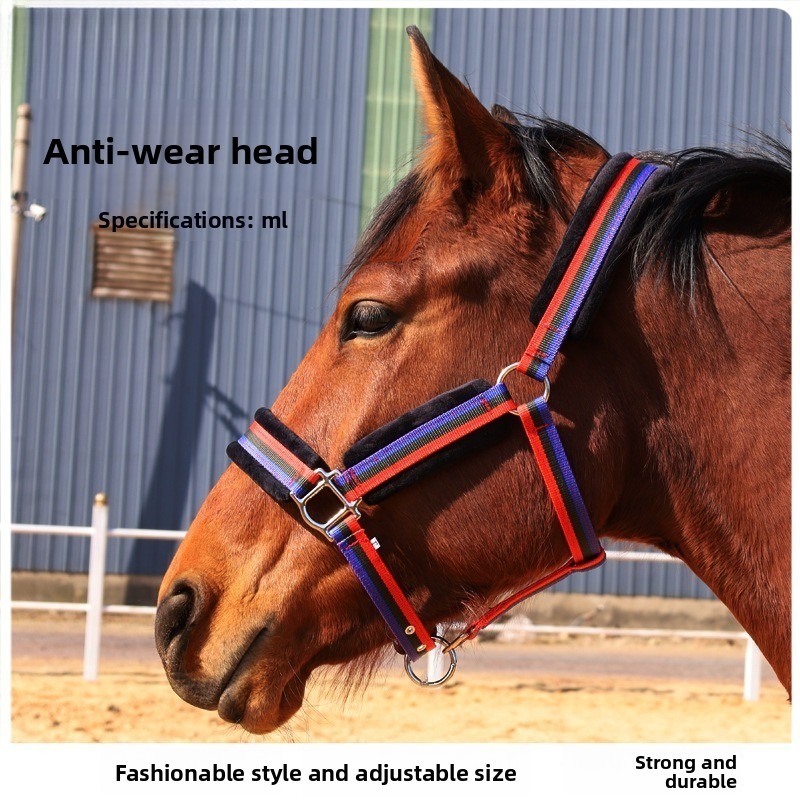 Verschleißfestes Textil-Pferde – Headcollar Rope Set Bewertung und Preis