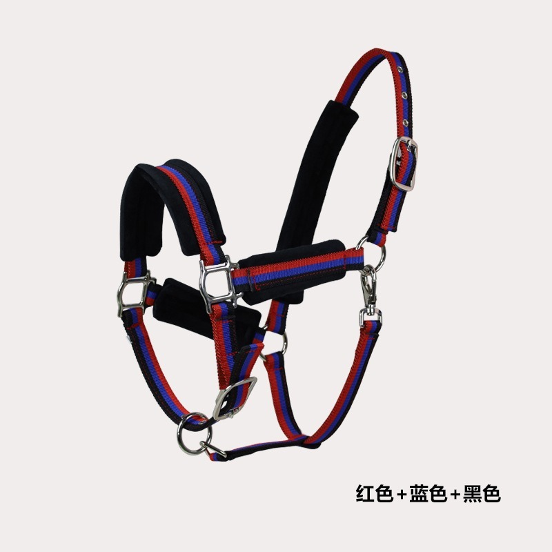 Verschleißfestes Textil-Pferde – Headcollar Rope Set Bewertung und Preis