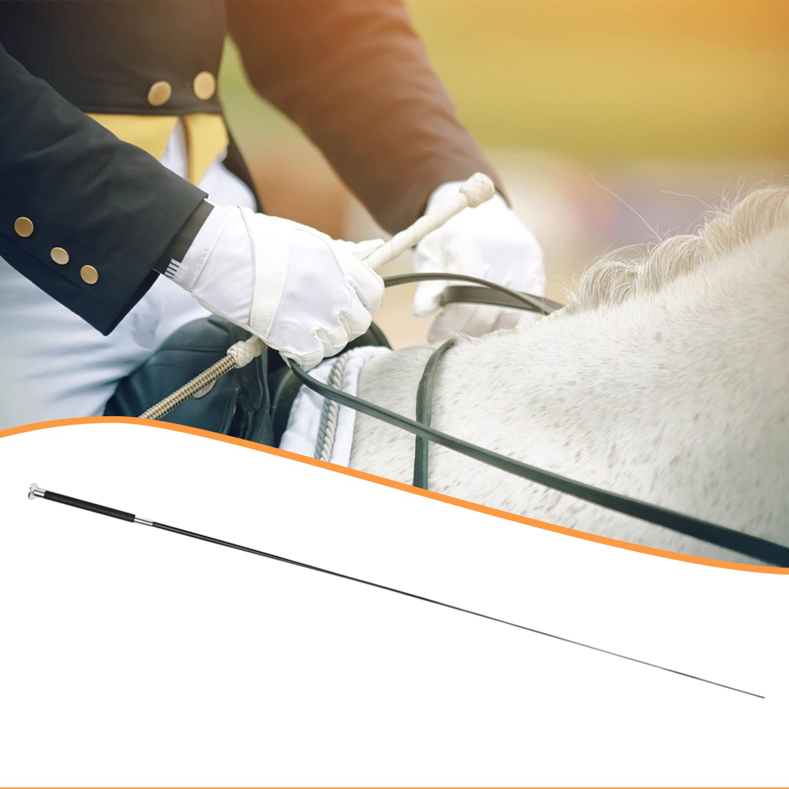 Reitgerte Teleskopische Traini – Riding Crop Dressage Bewertung und Preis