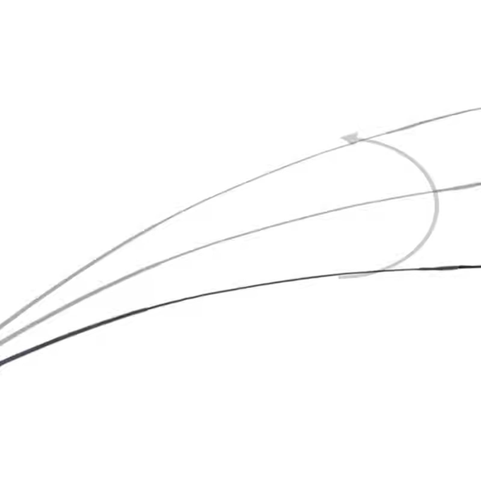 Reitgerte Teleskopische Traini – Riding Crop Dressage Bewertung und Preis